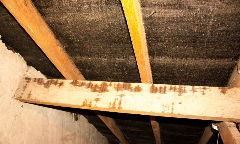 Basement Beam Repair