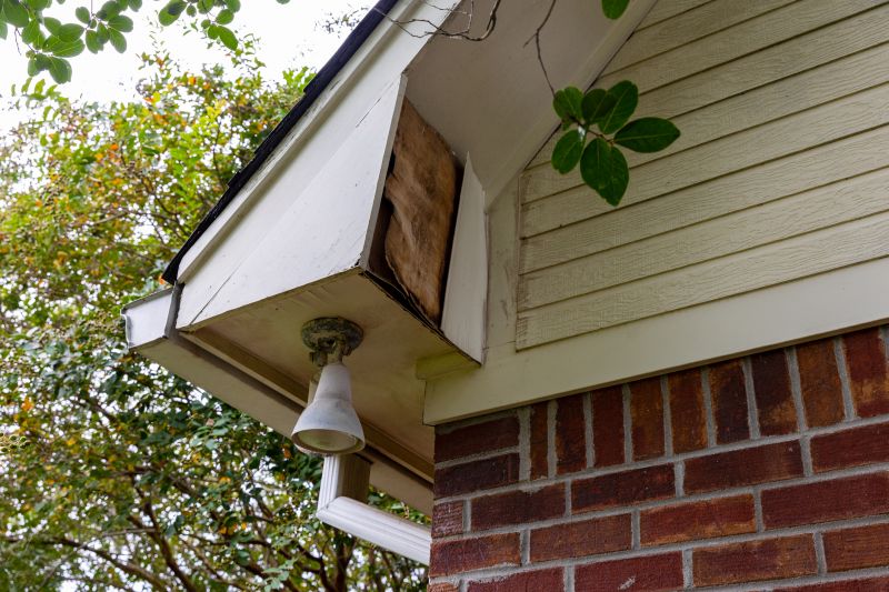 Eaves Repair