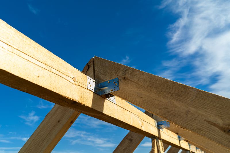 Roof Framing Repair detail