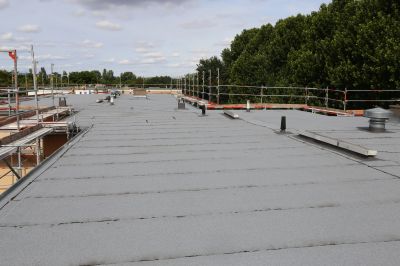 Roof Structure Repair