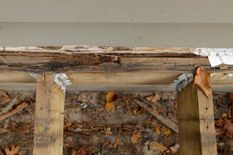 Structural Wood Repair