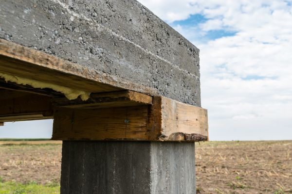 Sill Plate Replacement in Albany