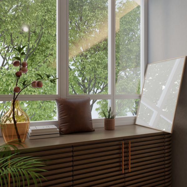 Window Framing in Albany
