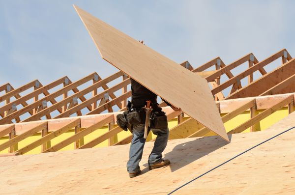 Plywood Replacement in Albany
