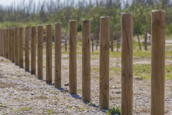 Outdoor Post Replacement in Albany