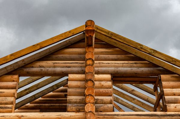 Timber Roof Framing in Albany