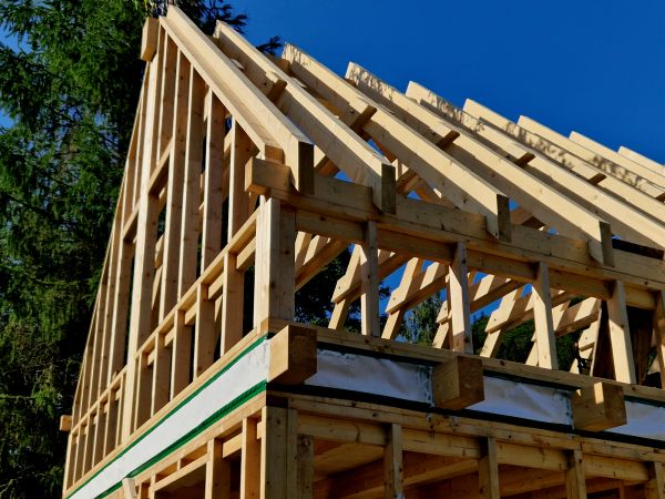 House Extension Framing in Albany