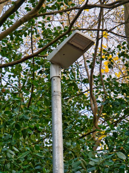 Outdoor Pole Light Replacement