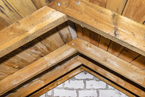 Rafter Repair Service in Albany