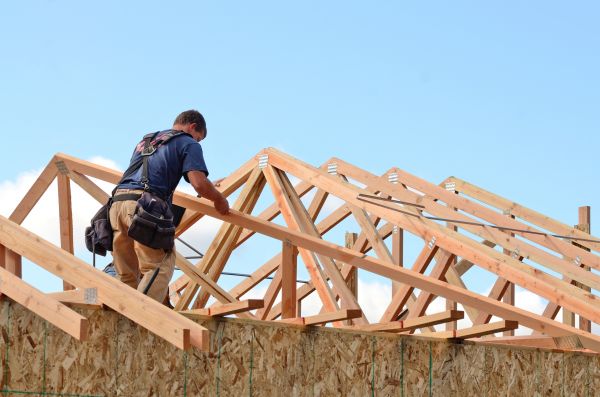 Damaged Framing Replacement in Albany